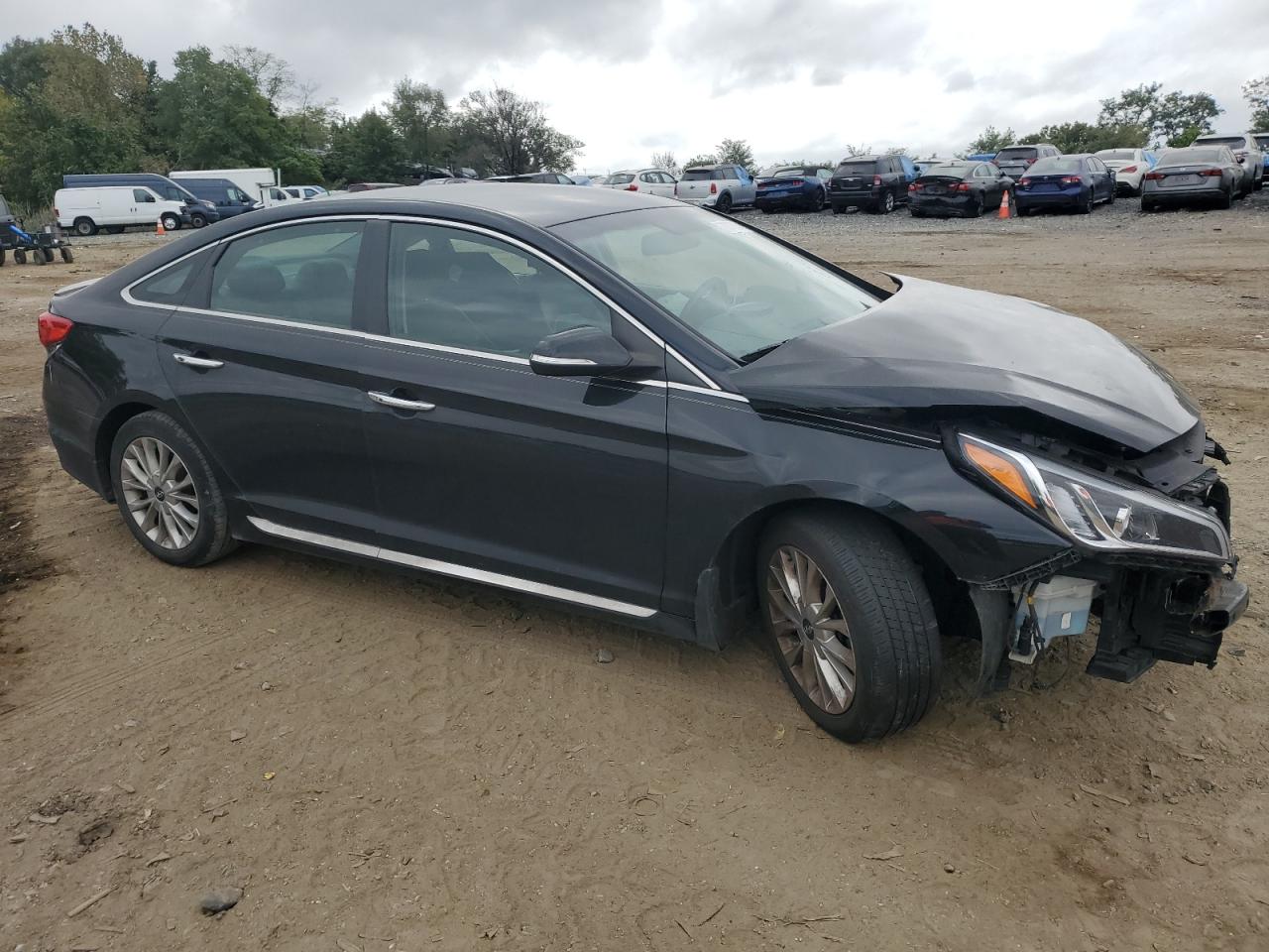 Lot #2981507593 2015 HYUNDAI SONATA SPO