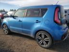 KIA SOUL + photo