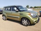 KIA SOUL photo