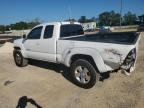 TOYOTA TACOMA PRE photo