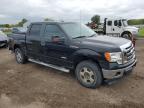 Lot #3025128200 2011 FORD F150 SUPER