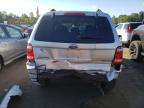 FORD ESCAPE XLT photo