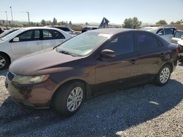 KIA FORTE EX