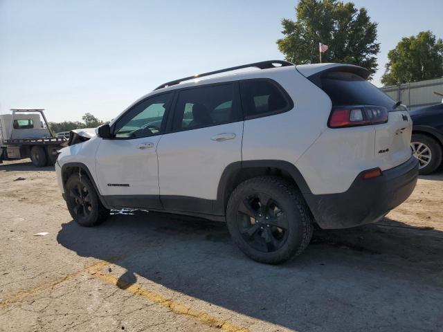 2019 JEEP CHEROKEE L - 1C4PJMLN8KD343841