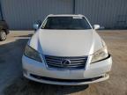 LEXUS ES 350 photo