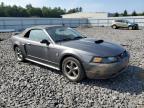 Lot #2942683466 2004 FORD MUSTANG GT