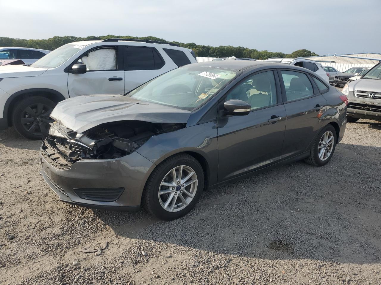 Lot #2972470676 2015 FORD FOCUS SE