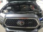 TOYOTA TACOMA DOU photo