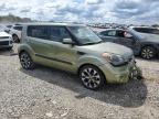 KIA SOUL + photo