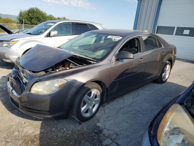 2010 CHEVROLET MALIBU LS 1G1ZB5EB7A4165796  70823484