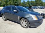 CADILLAC SRX LUXURY photo