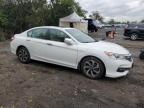 HONDA ACCORD EXL photo