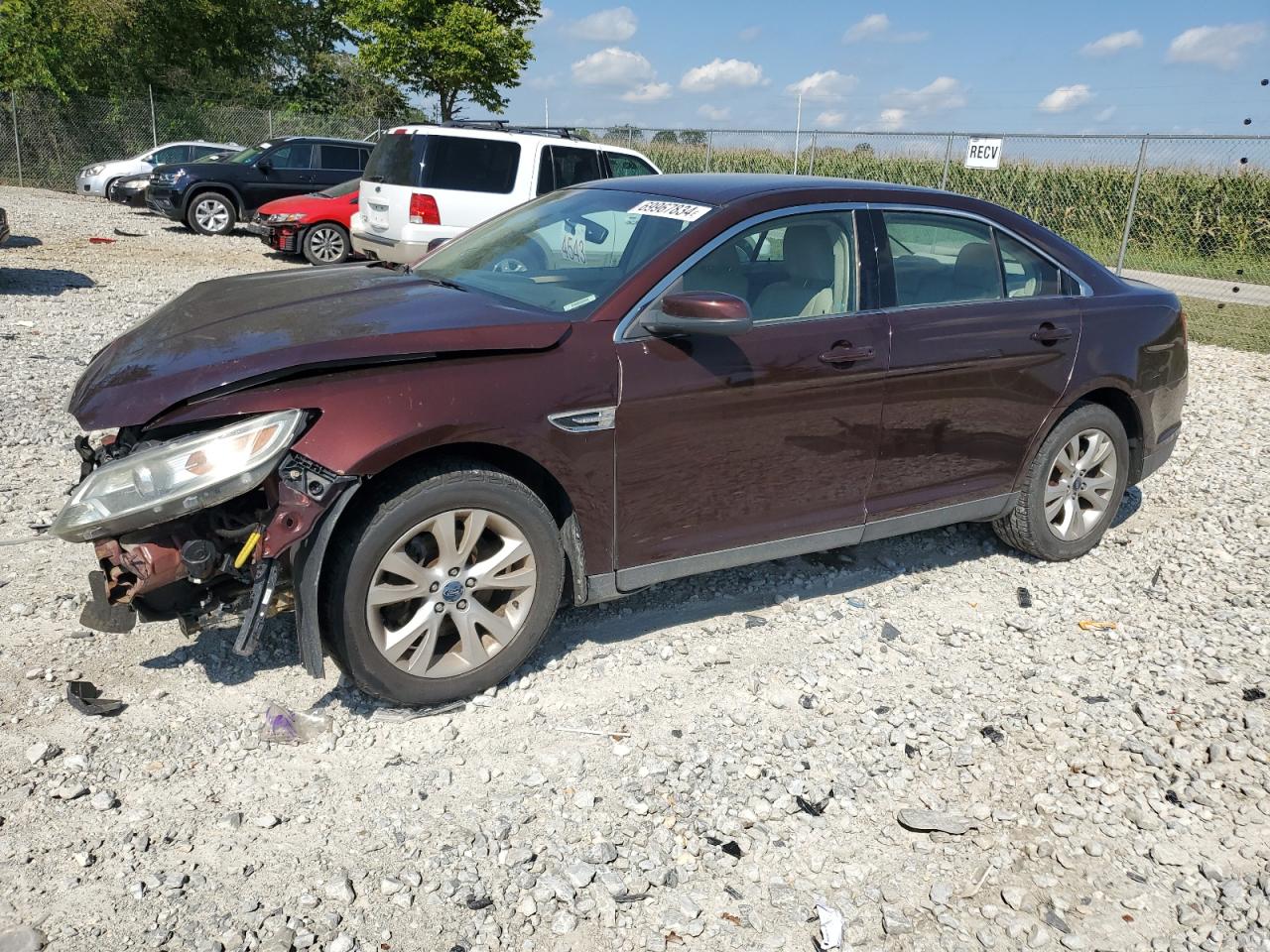 Lot #2938396633 2010 FORD TAURUS SEL