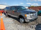 FORD F150 SUPER photo