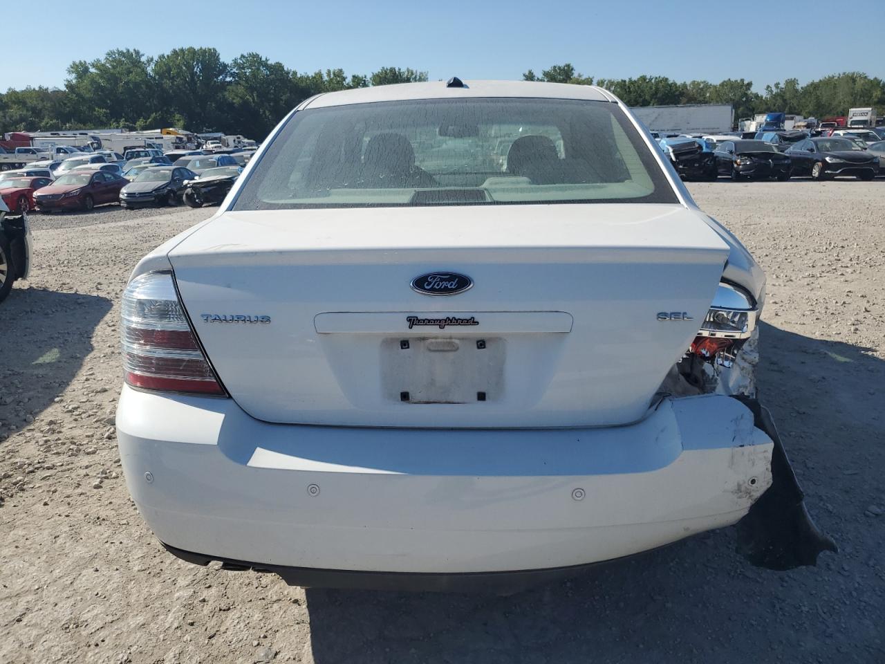 Lot #2824422431 2008 FORD TAURUS SEL