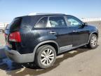 KIA SORENTO BA photo