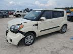 KIA SOUL photo