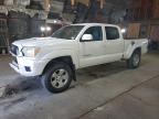 TOYOTA TACOMA DOU photo