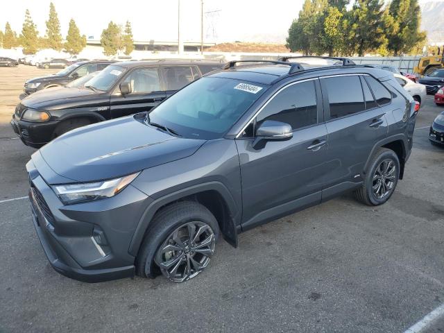 2024 TOYOTA RAV4 XLE PREMIUM 2024