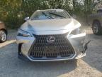 LEXUS NX 350H BA photo