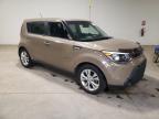 KIA SOUL + photo