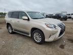 LEXUS GX 460 photo