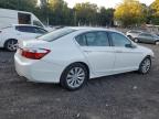 HONDA ACCORD EXL photo