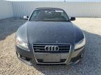 AUDI A5 PRESTIG photo