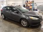 FORD FOCUS SE photo