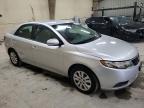 KIA FORTE EX photo