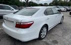 LEXUS LS 460 photo