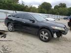 Lot #3024449533 2010 HONDA ACCORD CRO