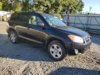 TOYOTA RAV4 photo