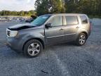 HONDA PILOT EXL photo