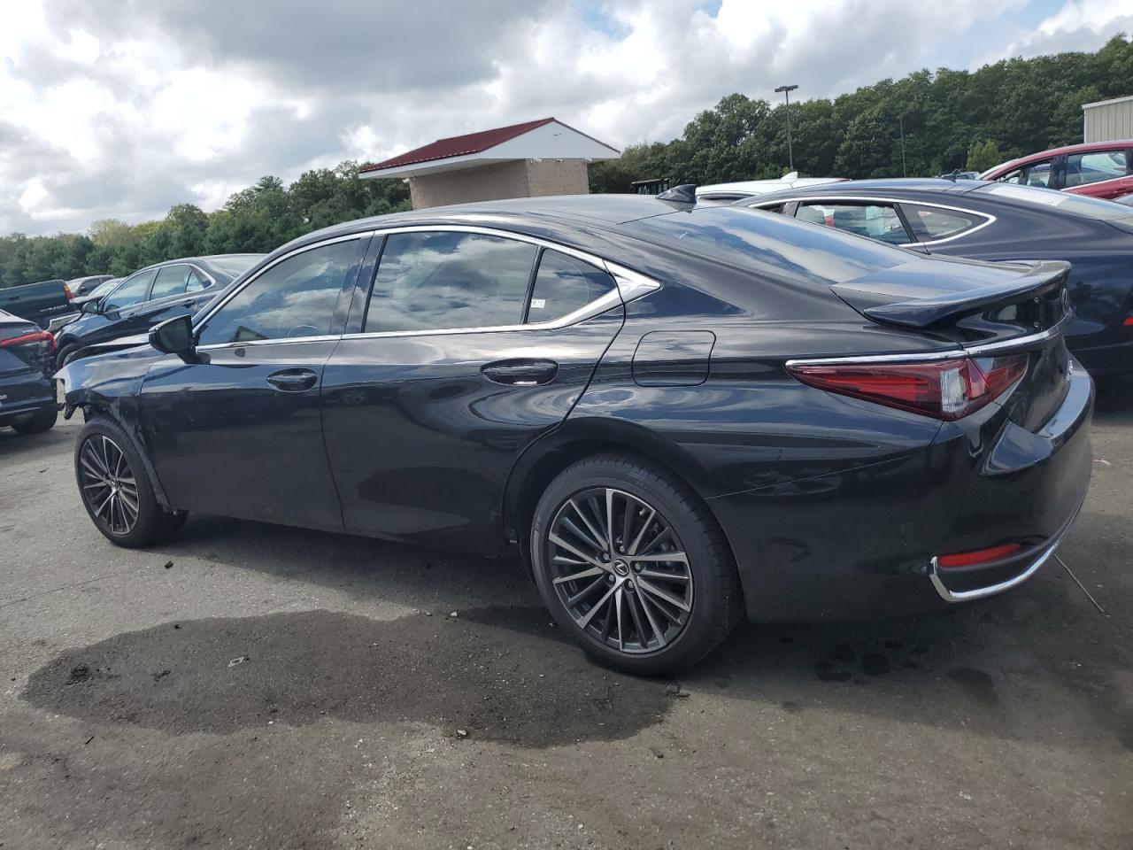 Lot #2951936404 2024 LEXUS ES 250 BAS