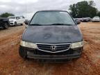 HONDA ODYSSEY EX photo