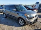 KIA SOUL + photo