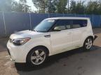 KIA SOUL + photo