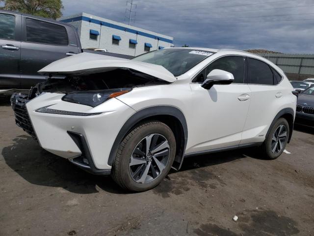 2021 LEXUS NX 300H BA #2955492569