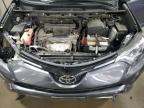 TOYOTA RAV4 XLE photo