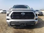 Lot #2979563608 2024 TOYOTA SEQUOIA SR