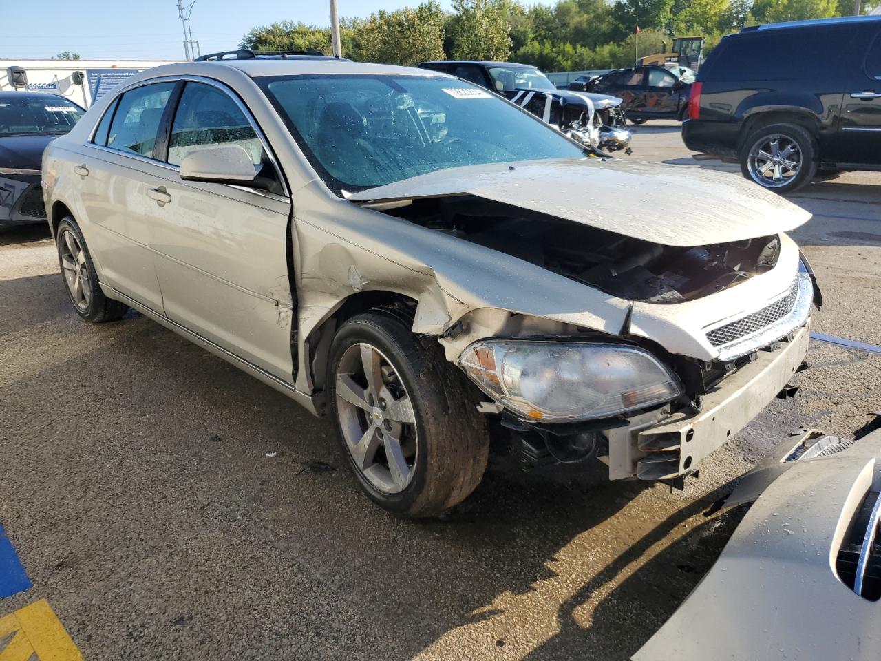 Lot #2994118343 2011 CHEVROLET MALIBU 1LT