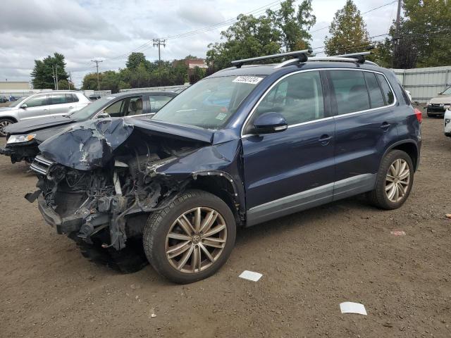 VIN WVGBV7AX1DW553902 2013 Volkswagen Tiguan, S no.1