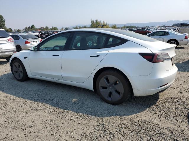 2023 TESLA MODEL 3 - 5YJ3E1EA1PF450113