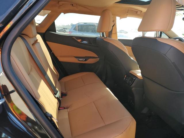 2024 LEXUS NX 250 BAS 2T2ADCAZ9RC013724