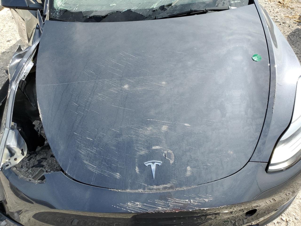 Lot #2930451473 2022 TESLA MODEL Y