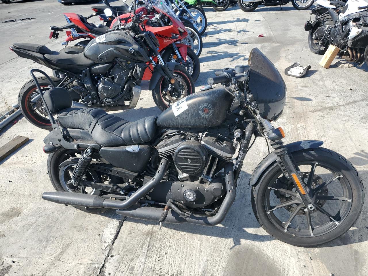 Harley Davidson XL883N / IRON 883 2021 