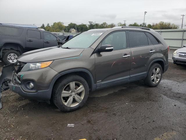 VIN 5XYKUCA62DG397325 2013 KIA Sorento, EX no.1