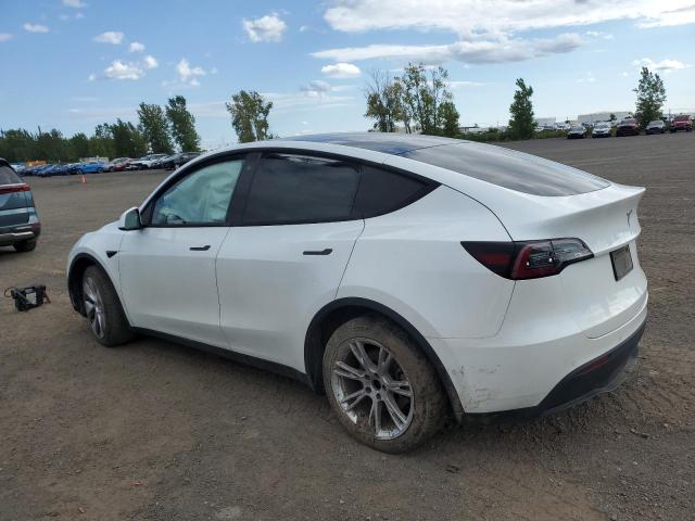 2020 TESLA MODEL Y - 5YJYGDEE2LF026213