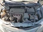 TOYOTA CAMRY BASE photo